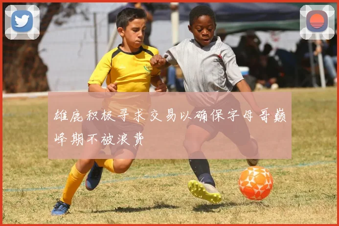 雄鹿积极寻求交易以确保字母哥巅峰期不被浪费