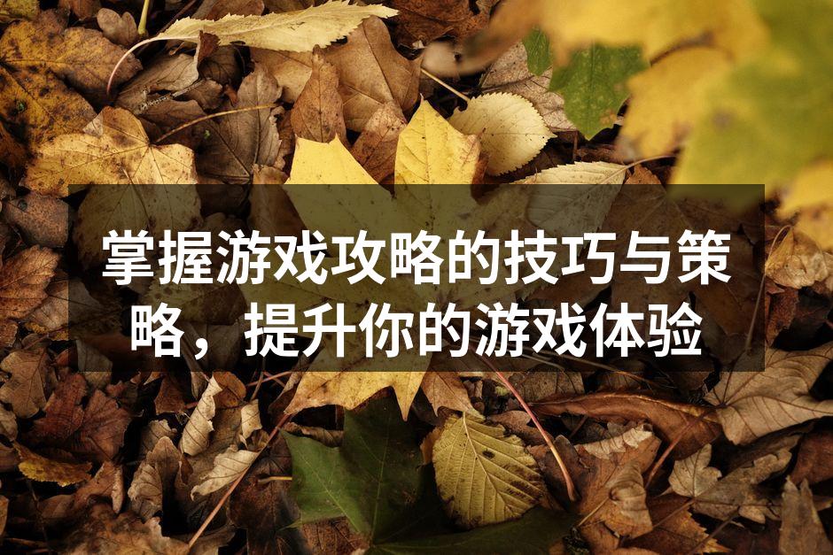 掌握游戏攻略的技巧与策略,提升你的游戏体